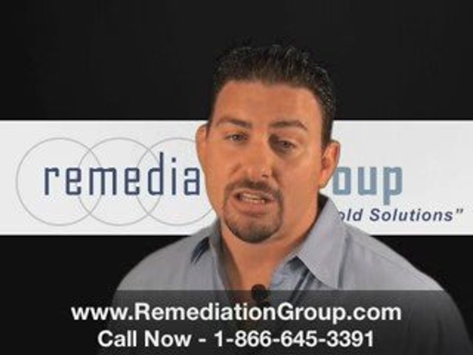 [Remediation Group] Atlanta Mold Remediation Atlanta Georgia