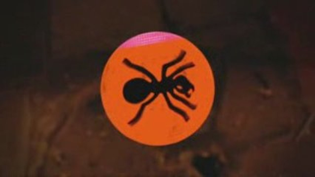 Behind the Scenes of Warrior's Dance