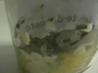 LLP - Le Pouvoir de Eau