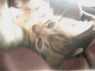Litchi mon chat mdr.. no comment