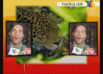 Espectacular arranque de Pasión Morena