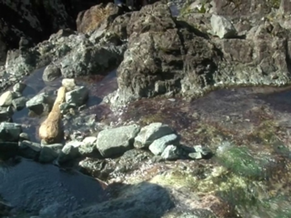 Hot Springs Cove, Tofino: The Stories - British ...