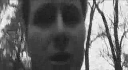 Utok medvedu Sety.cz