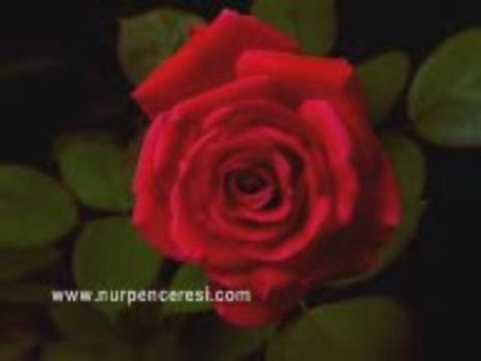 Bedüzzaman saidi nursi