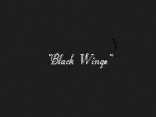 Black Wings - Improvised Composition 🖤