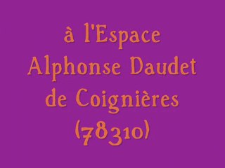 Rhinocéros espace Alphonse Daudet 19 juin 2009