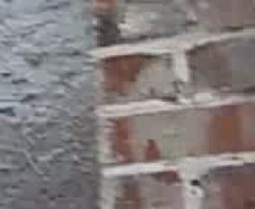 Vidéo0100