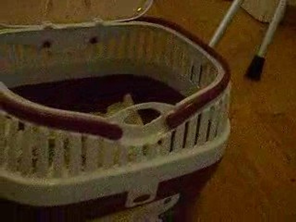 Gaïus fait le foufou