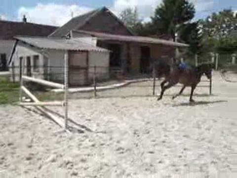 saut liberté Pitchounette