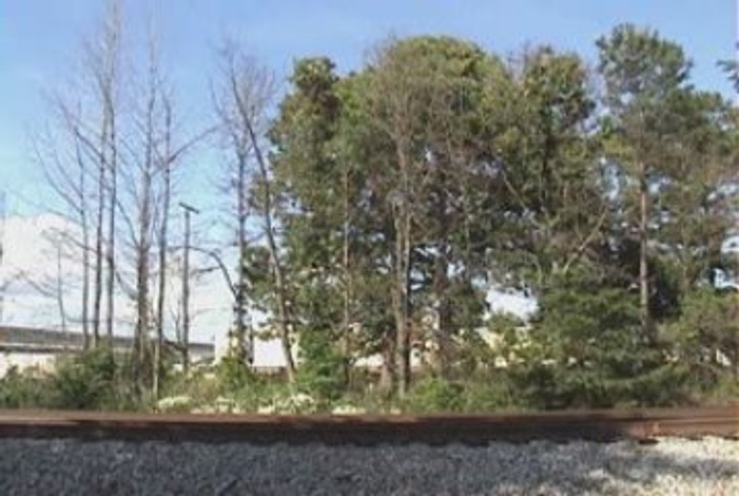 CSXT H774