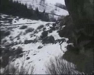 Tonya Efsanevi Atış