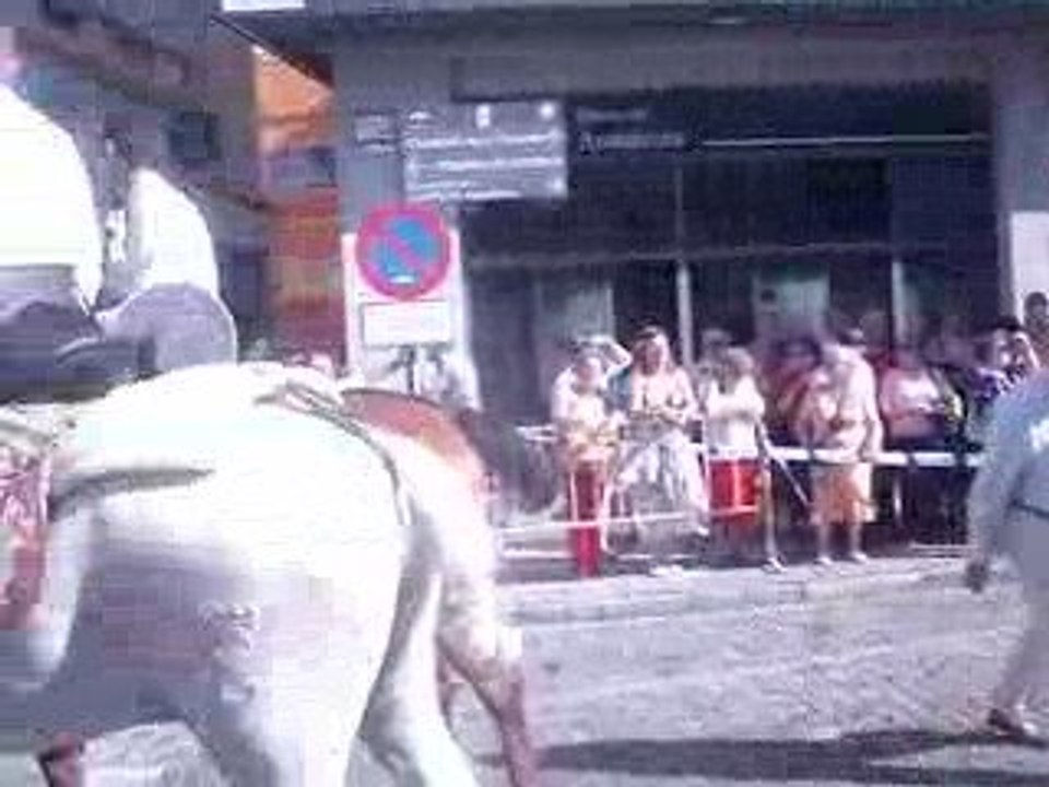 ROMERIA DEL ROCIO 2009 BY MONCEF DOUIEB