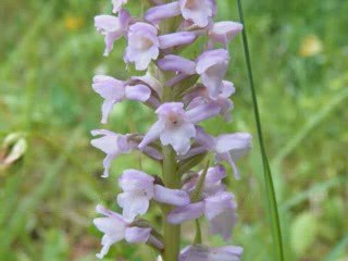 200905LEDUC Video rando Le haut Jura