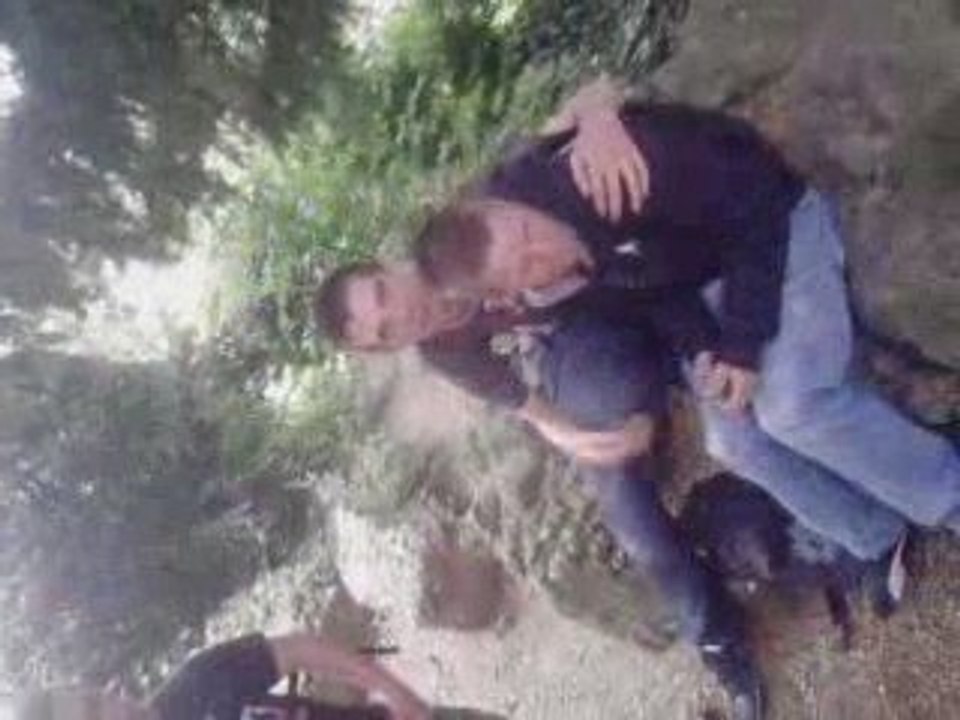 le petit cris