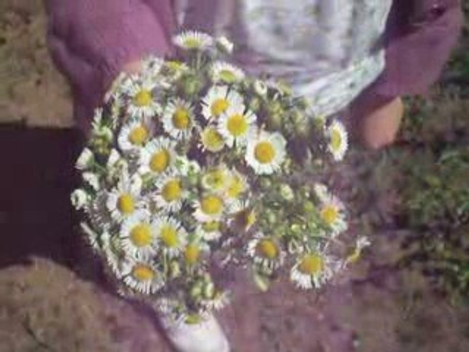 Bouquet Lyonnais