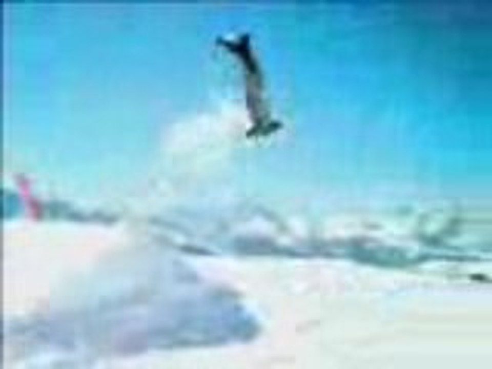 Thibault pierson édit ski (2008-2009)