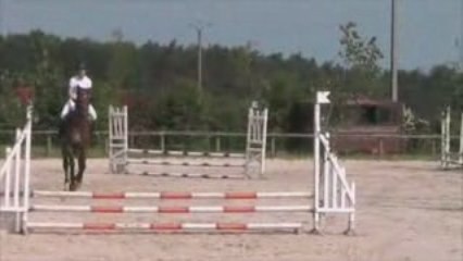 Concours Bray en Val 24052009