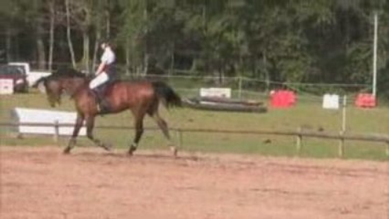 Concours Bray en Val 24052009 détente