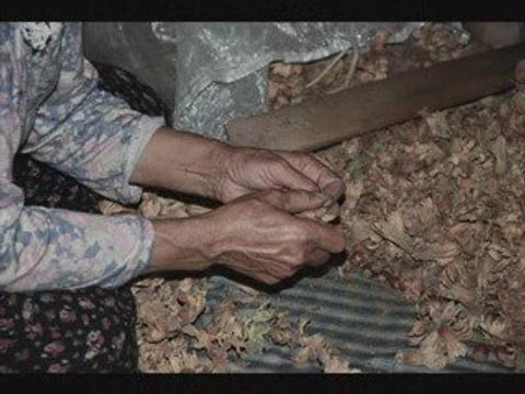 Yılmaz odabaşı-dıarda üzüyen haziran kalbimde hazan