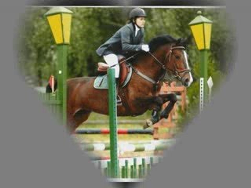 Concours Tertre 21.05.2009 - Red Bull & moi 80cm