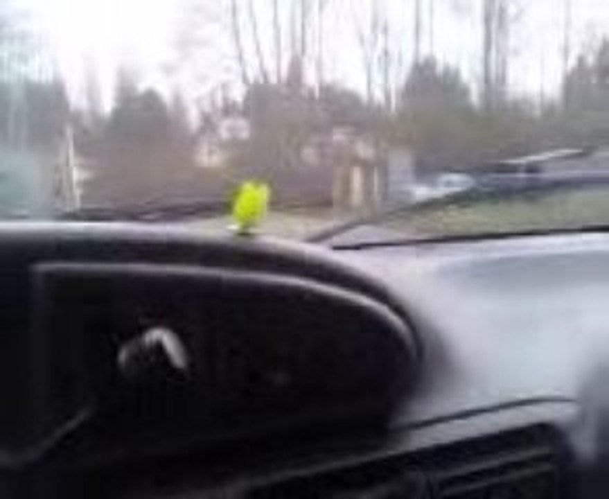 Ninja Frog