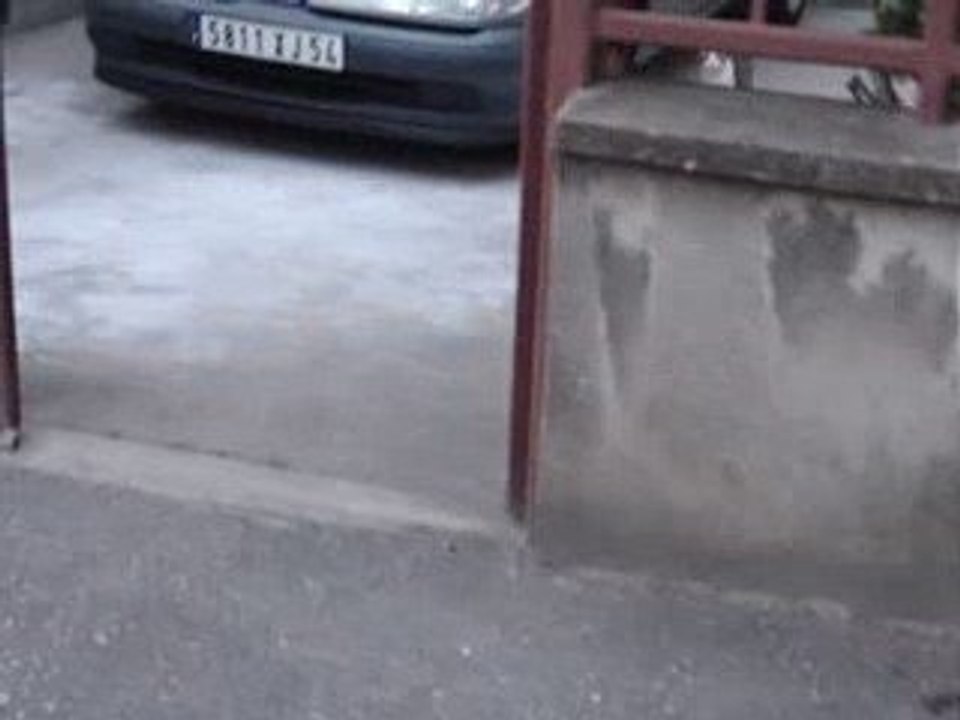 Pix et ses nouveaux copains