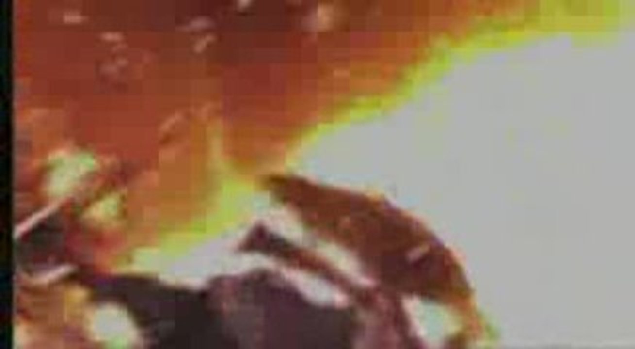 Ryu Hayabusa DOA4 Ending