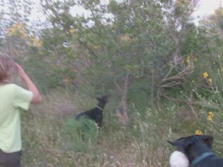 Sortie du 26 mai 2009 video no3