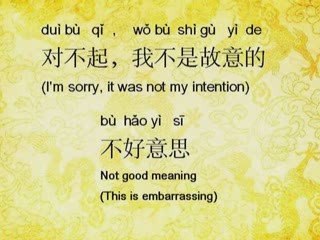 Learn Chinese - "I am sorry. it wasn't my intension."
