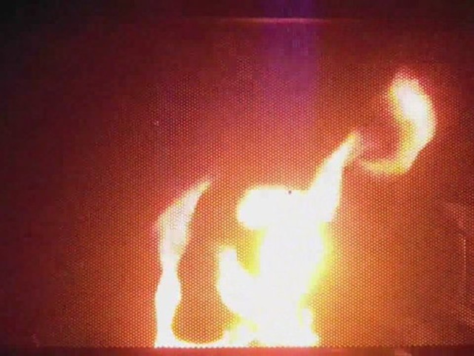 MICROWAVING LIQUIDNAILS