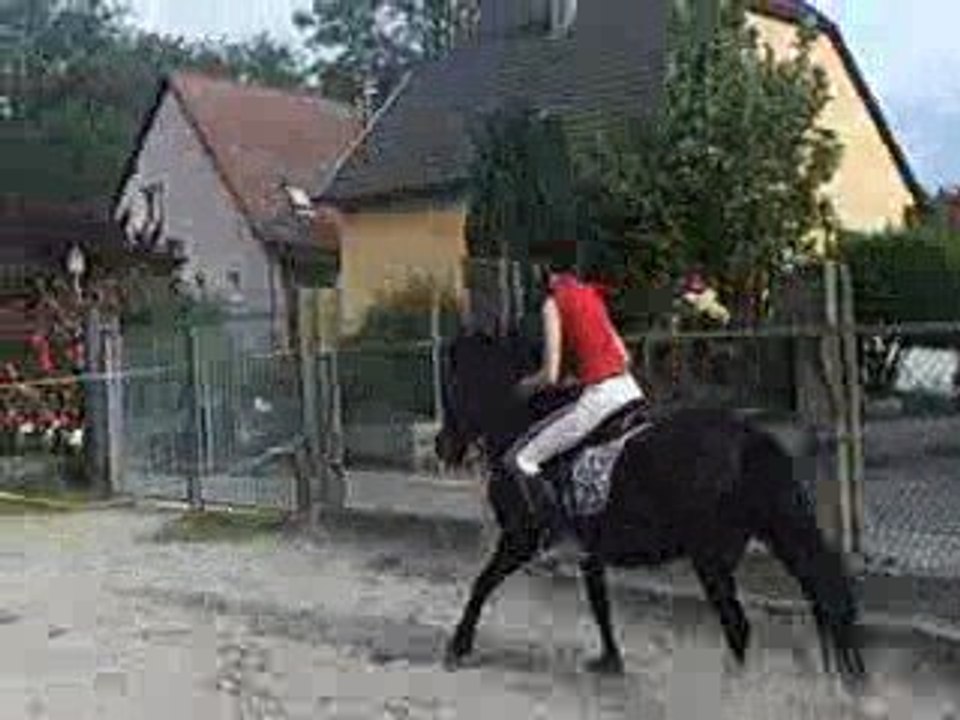 Fier de ses progrés (L)