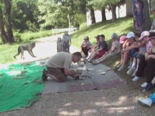 A la découverte de la Préhistoire grâce à Julie Oberlin