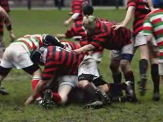 Odd News - myinboxnews.com