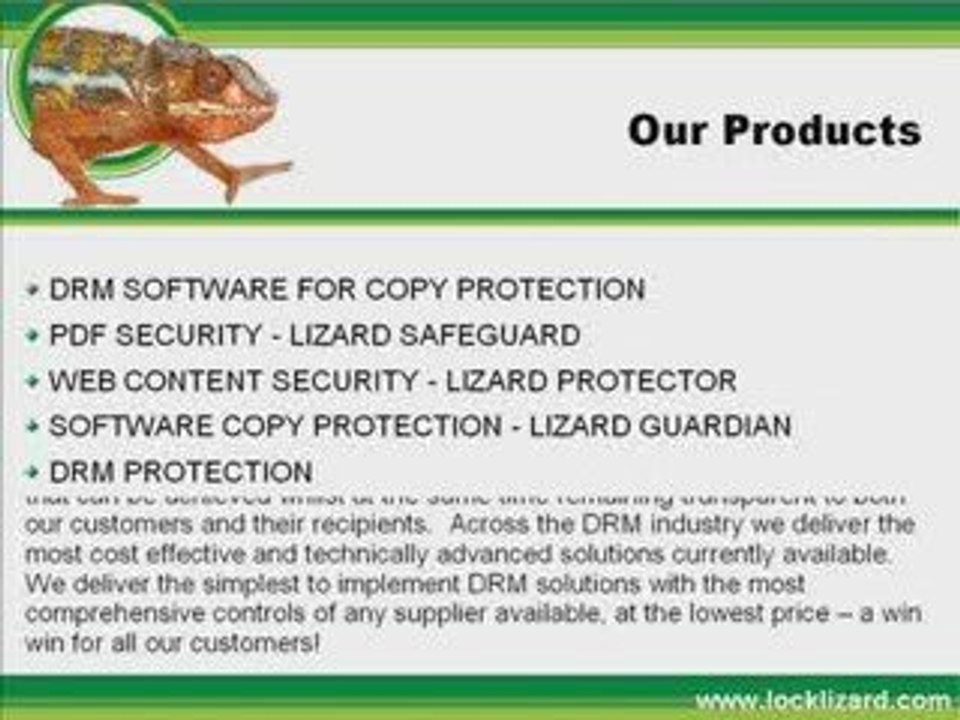 LockLizard