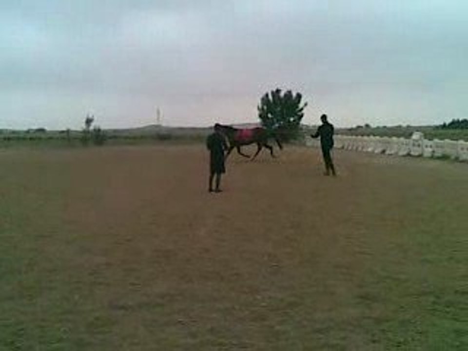 "KISS" & ALEX AUX LONGUES RENES