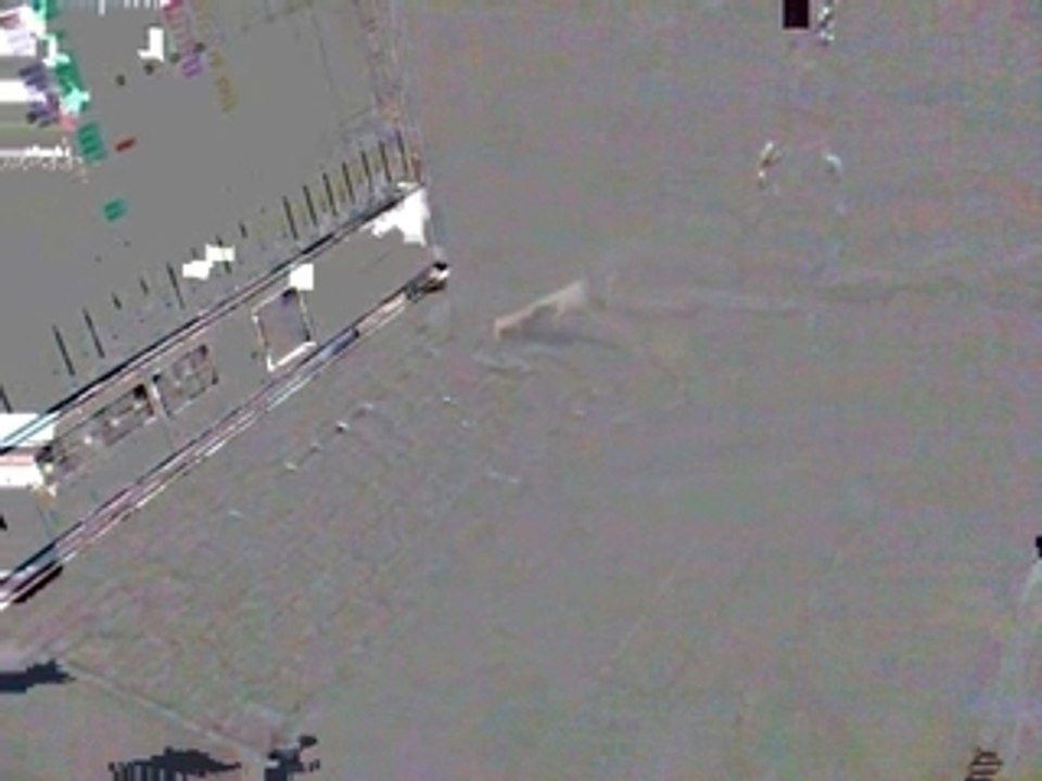 Diablo extrait live 2009