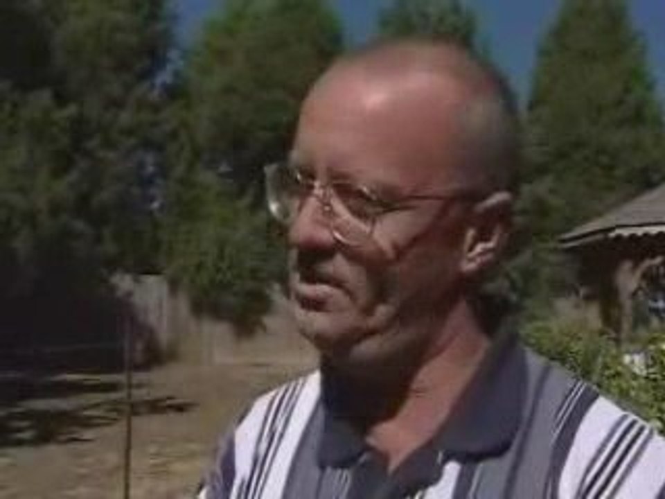 Chien à 2 pattes latérales / Blog-videos.org