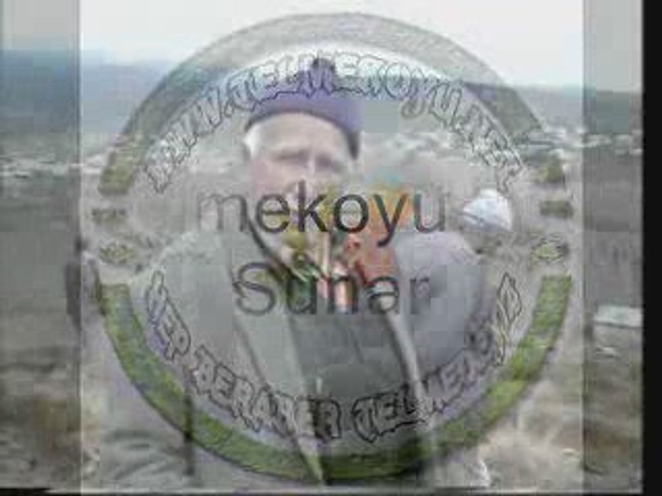 Fidan dikimi-4