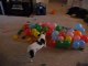 Un chien éclate 74 ballons en 57 sec / Blog-videos.org