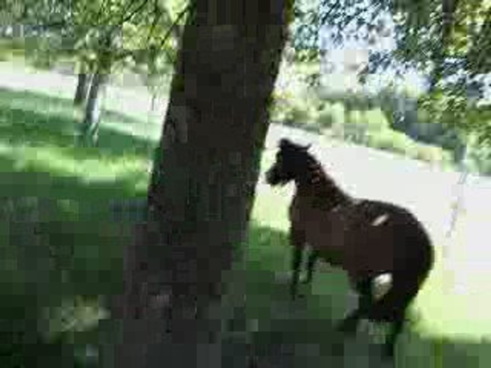 Ma Chérie Je T'aime ♥