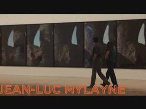 Expos du 15 mai au 2 août au MAC Lyon