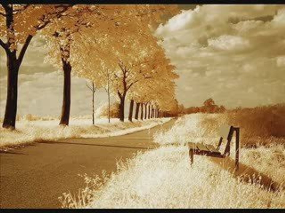 Gece Yolcuları-Olmuyor