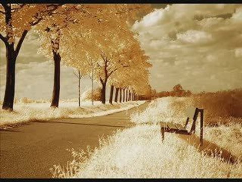 Gece Yolcuları-Olmuyor