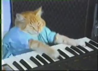 Play Ref Off, Keyboard Cat