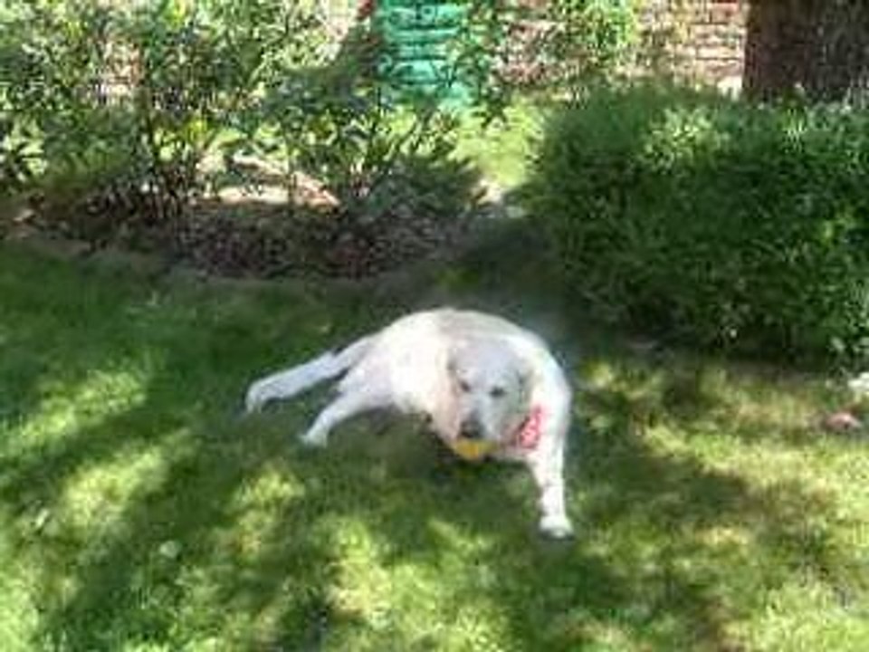 DSCF0078