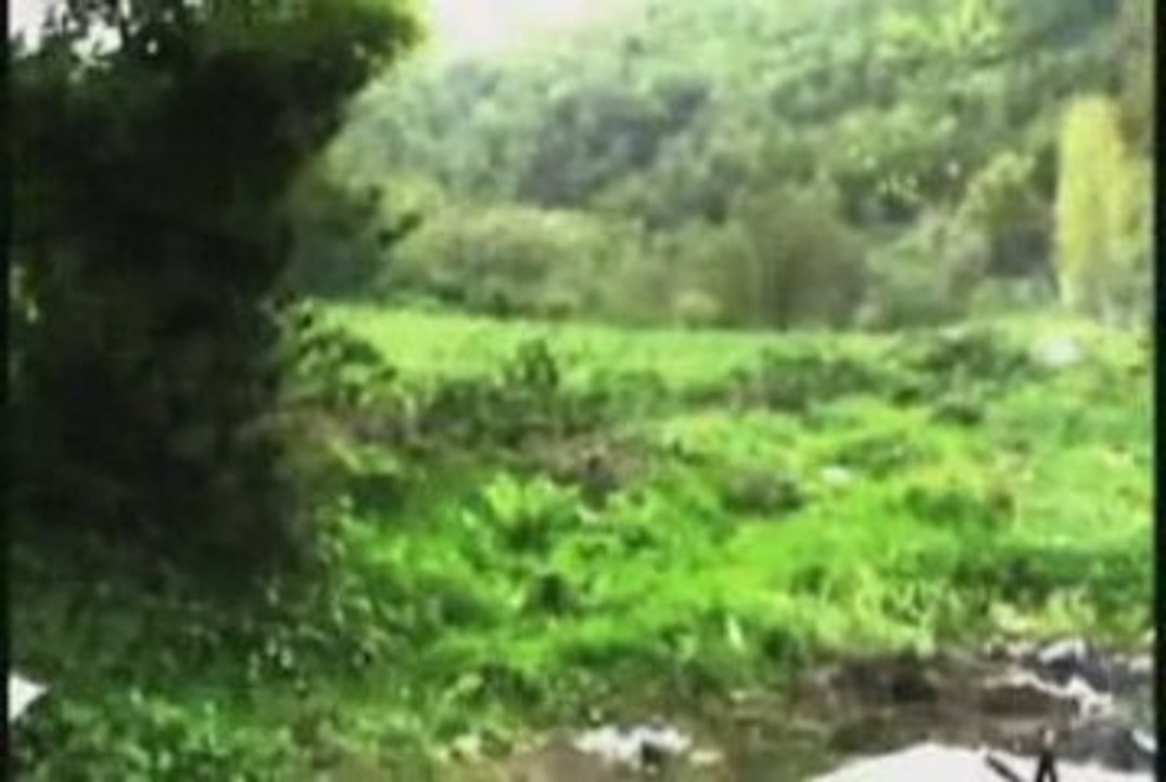 One shot one kill Bursa :P