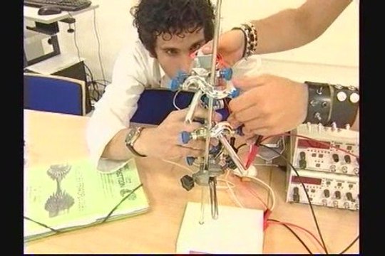 journal TLT jeudi 28 mai 2009