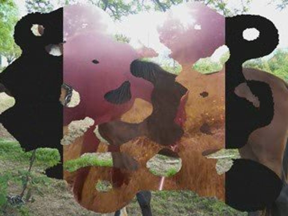 une ptite vidéo sur la jument de mon voisin que j'aime foreu