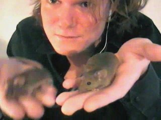 La souris, mon amie (chanson pour enfants)