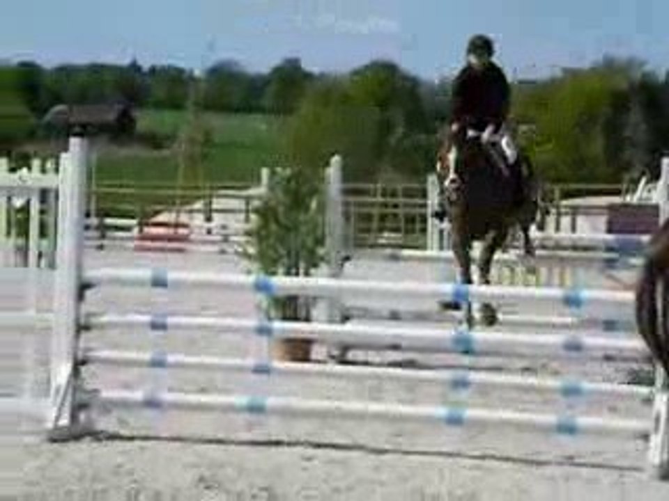 Poneys Sous Les Pommiers 2009